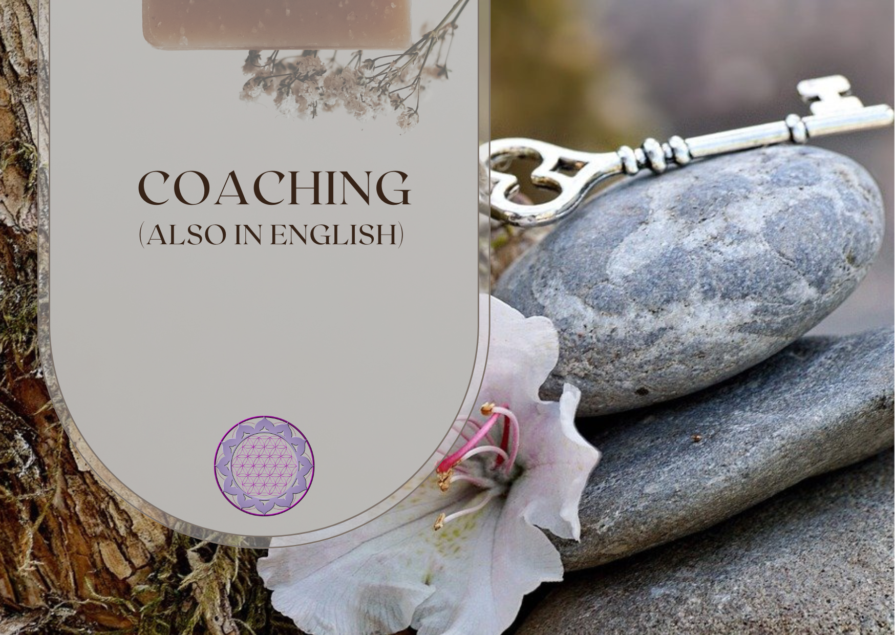 Coaching